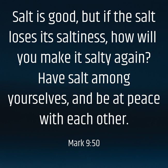  Salt is good, but if the salt loses its saltiness, how will you make it salty again? Have salt among yourselves, and be at peace with each other.   - Mark 9:50 