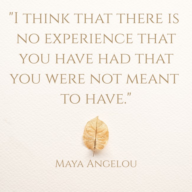  I think that there is no experience that you have had that you were not meant to have.   - Maya Angelou 