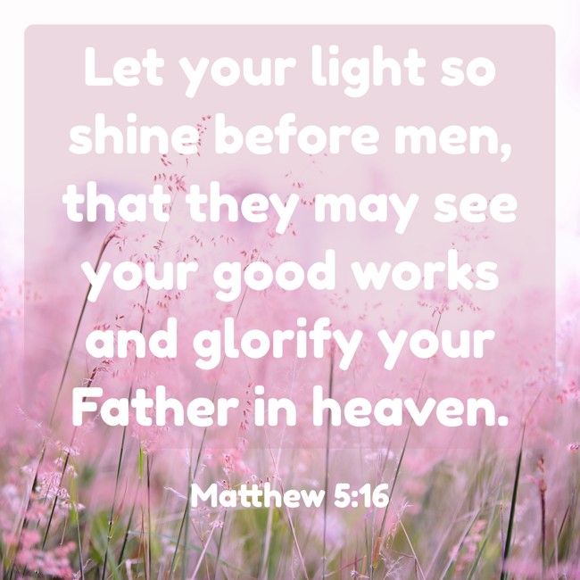 Let your light so shine before men, that they may see your good works and glorify your Father in heaven. - Matthew 5:16