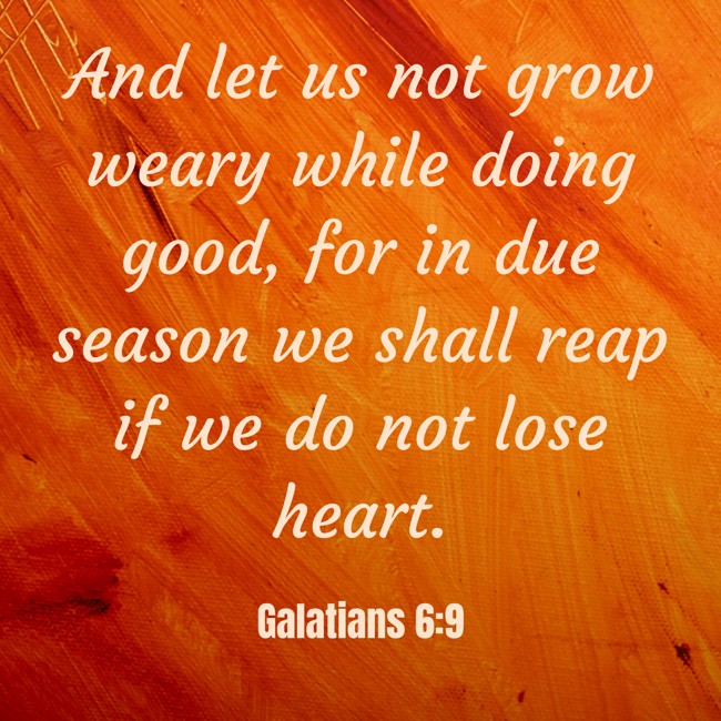 And let us not grow weary while doing good, for in due season we shall reap if we do not lose heart. - Galatians 6:9