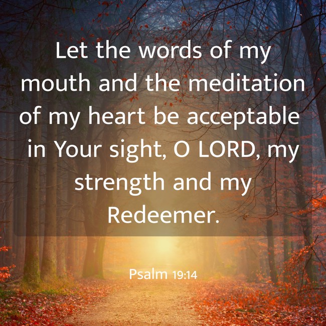 Let the words of my mouth and the meditation of my heart be acceptable in Your sight, O LORD, my strength and my Redeemer. - Psalm 19:14