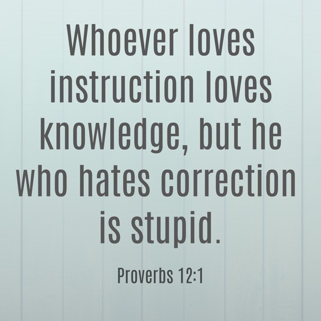 Whoever loves instruction loves knowledge, but he who hates correction is stupid. - Proverbs 12:1