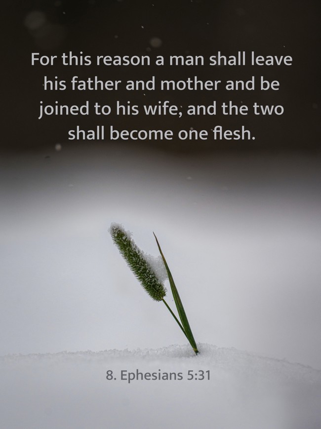 For this reason a man shall leave his father and mother and be joined to his wife, and the two shall become one flesh. - 8. Ephesians 5:31