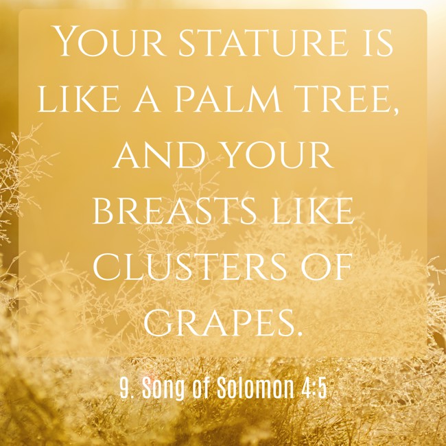 Your stature is like a palm tree, and your breasts like clusters of grapes. - 9. Song of Solomon 4:5