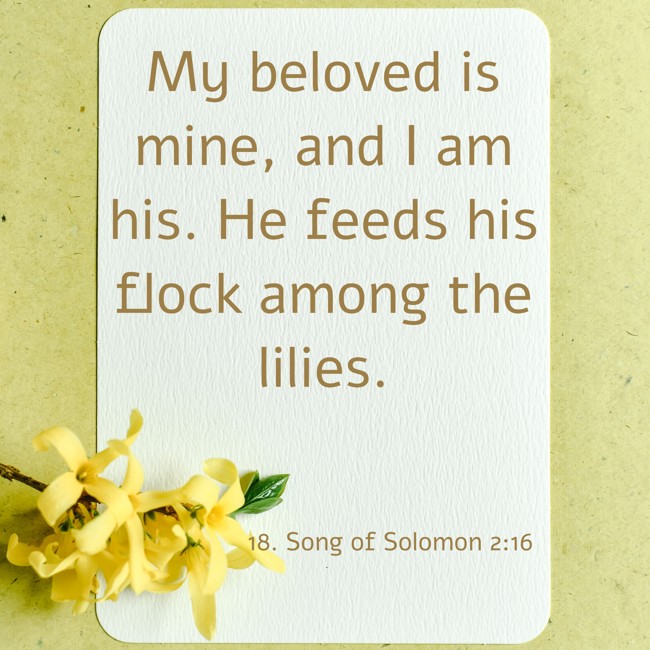 My beloved is mine, and I am his. He feeds his flock among the lilies. - 18. Song of Solomon 2:16