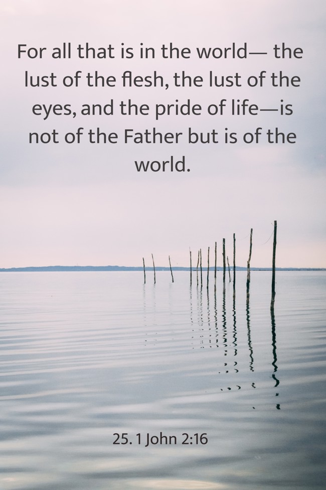 For all that is in the world— the lust of the flesh, the lust of the eyes, and the pride of life—is not of the Father but is of the world. - 25. 1 John 2:16