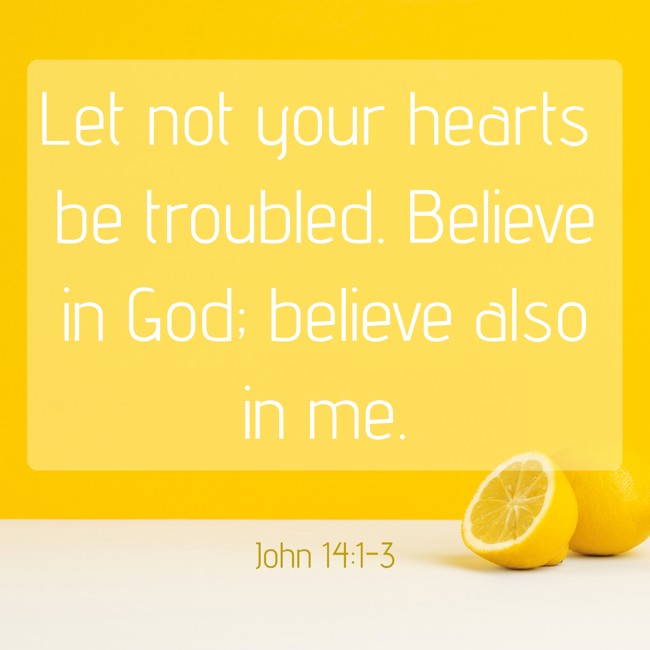 Let not your hearts be troubled. Believe in God; believe also in me. - John 14:1-3