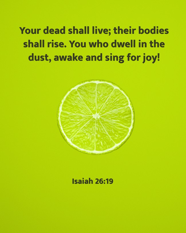 Your dead shall live; their bodies shall rise. You who dwell in the dust, awake and sing for joy! - Isaiah 26:19