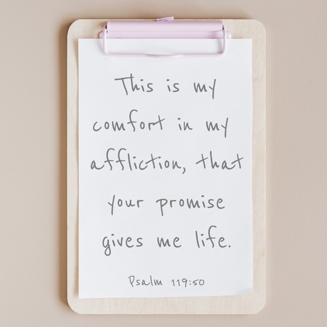 This is my comfort in my affliction, that your promise gives me life. - Psalm 119:50