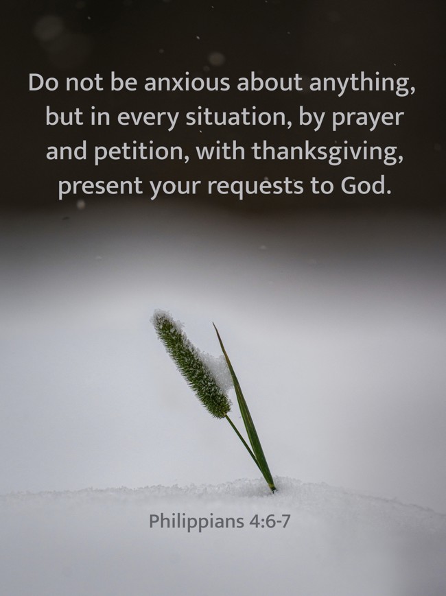 Do not be anxious about anything, but in every situation, by prayer and petition, with thanksgiving, present your requests to God. - Philippians 4:6-7