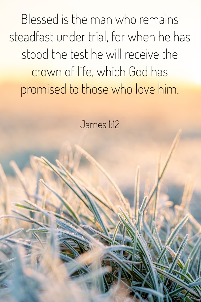 Blessed is the man who remains steadfast under trial, for when he has stood the test he will receive the crown of life, which God has promised to those who love him. - James 1:12