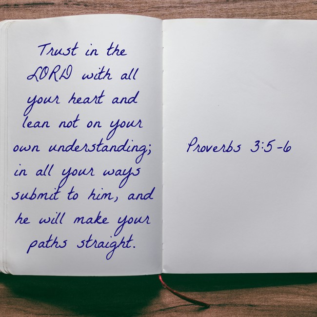Trust in the LORD with all your heart and lean not on your own understanding; in all your ways submit to him, and he will make your paths straight. - Proverbs 3:5-6