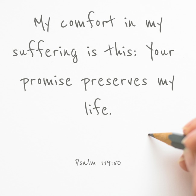 My comfort in my suffering is this: Your promise preserves my life. - Psalm 119:50