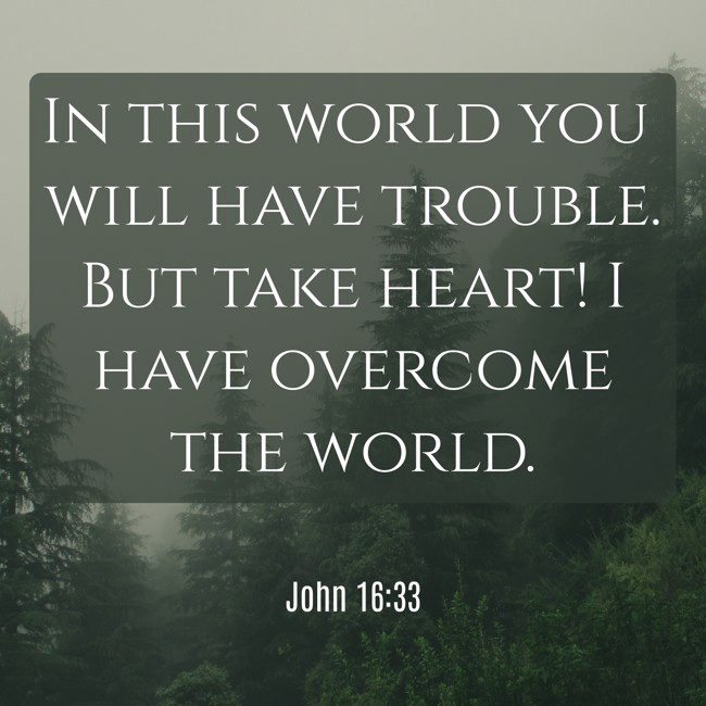 In this world you will have trouble. But take heart! I have overcome the world. - John 16:33