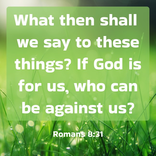 What then shall we say to these things? If God is for us, who can be against us? - Romans 8:31