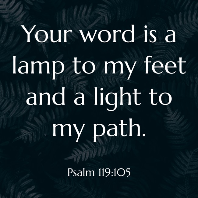 Your word is a lamp to my feet and a light to my path. - Psalm 119:105