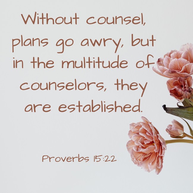 Without counsel, plans go awry, but in the multitude of counselors, they are established. - Proverbs 15:22