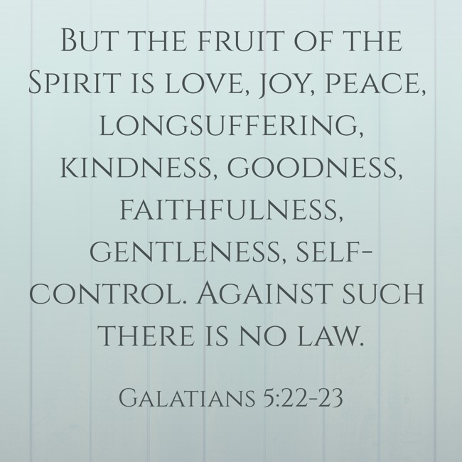 But the fruit of the Spirit is love, joy, peace, longsuffering, kindness, goodness, faithfulness, gentleness, self-control. Against such there is no law. - Galatians 5:22-23