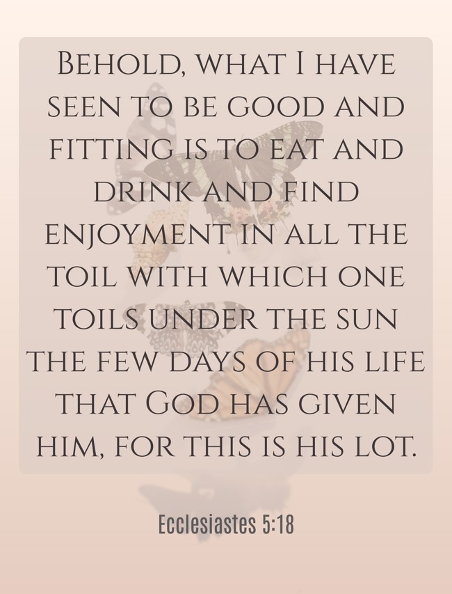 Behold, what I have seen to be good and fitting is to eat and drink and find enjoyment in all the toil with which one toils under the sun the few days of his life that God has given him, for this is his lot. - Ecclesiastes 5:18