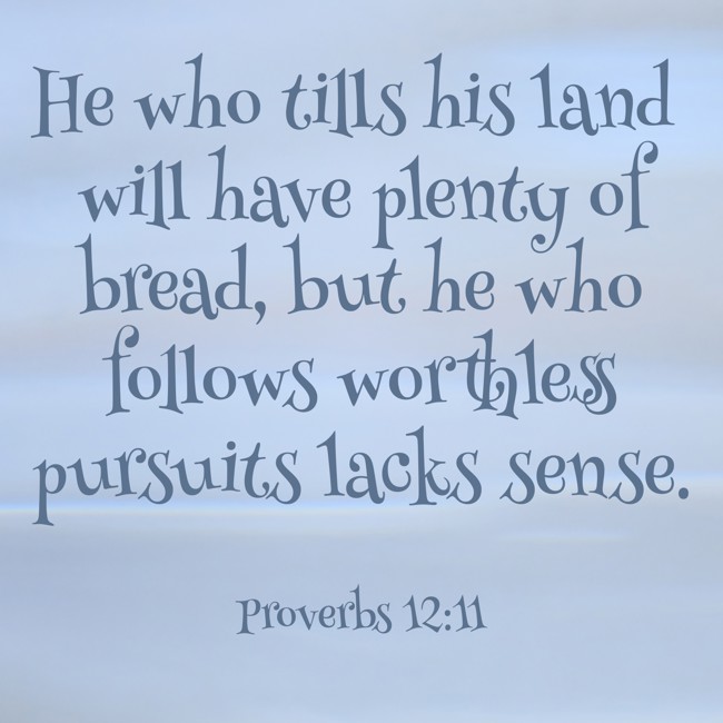 He who tills his land will have plenty of bread, but he who follows worthless pursuits lacks sense. - Proverbs 12:11