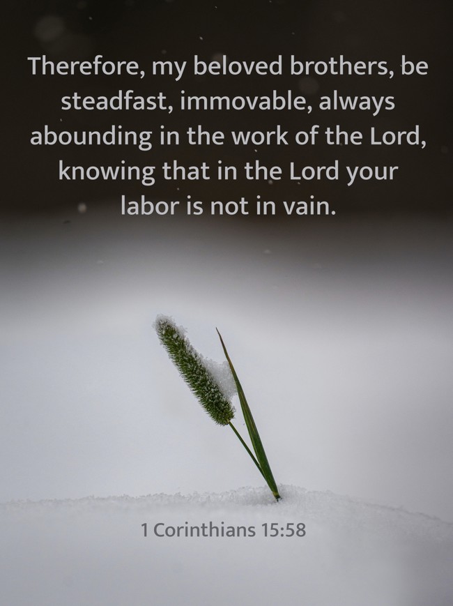 Therefore, my beloved brothers, be steadfast, immovable, always abounding in the work of the Lord, knowing that in the Lord your labor is not in vain. - 1 Corinthians 15:58