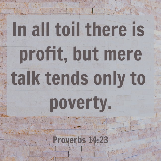 In all toil there is profit, but mere talk tends only to poverty. - Proverbs 14:23