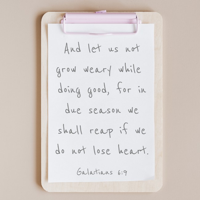 And let us not grow weary while doing good, for in due season we shall reap if we do not lose heart. - Galatians 6:9