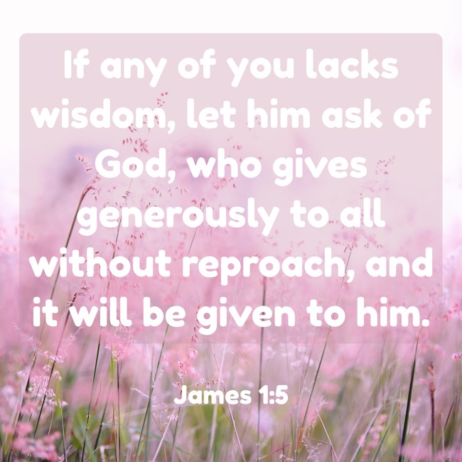 If any of you lacks wisdom, let him ask of God, who gives generously to all without reproach, and it will be given to him. - James 1:5