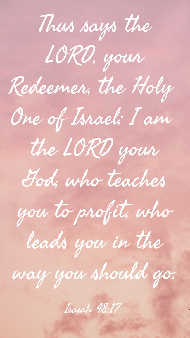 Thus says the LORD, your Redeemer, the Holy One of Israel: I am the LORD your God, who teaches you to profit, who leads you in the way you should go. - Isaiah 48:17
