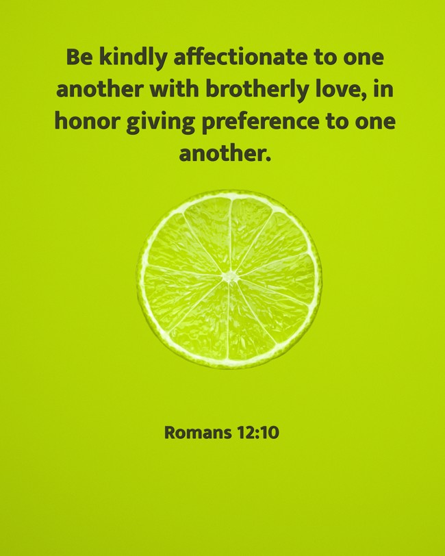 Be kindly affectionate to one another with brotherly love, in honor giving preference to one another. - Romans 12:10