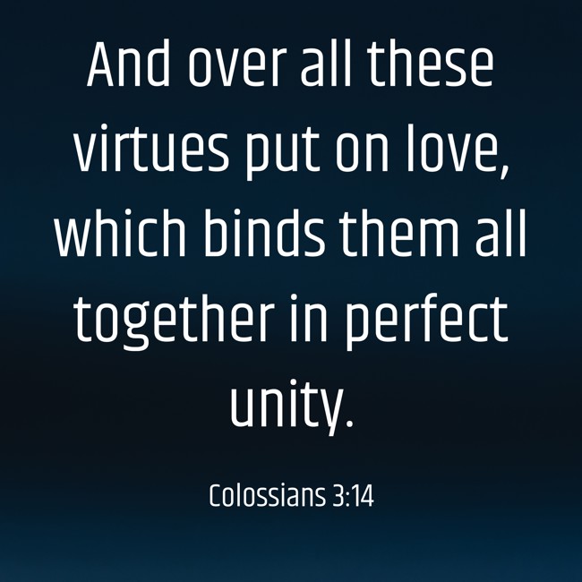 And over all these virtues put on love, which binds them all together in perfect unity. - Colossians 3:14