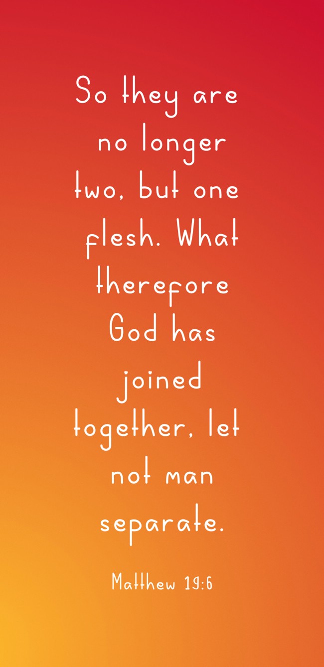 So they are no longer two, but one flesh. What therefore God has joined together, let not man separate. - Matthew 19:6