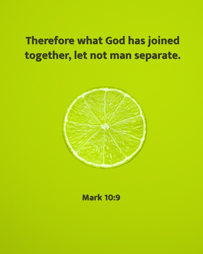Therefore what God has joined together, let not man separate. - Mark 10:9