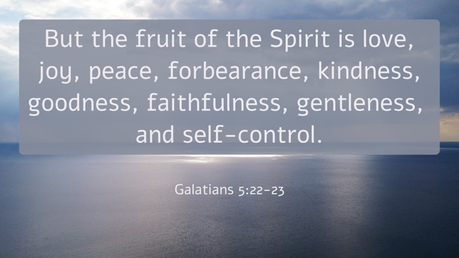 But the fruit of the Spirit is love, joy, peace, forbearance, kindness, goodness, faithfulness, gentleness, and self-control. - Galatians 5:22-23