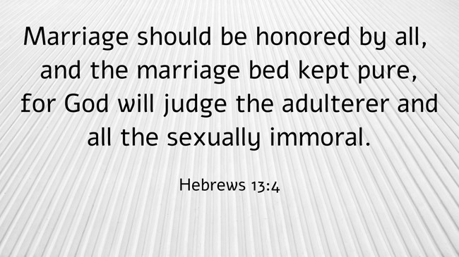Marriage should be honored by all, and the marriage bed kept pure, for God will judge the adulterer and all the sexually immoral. - Hebrews 13:4