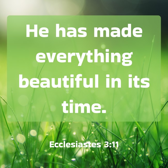 He has made everything beautiful in its time. - Ecclesiastes 3:11
