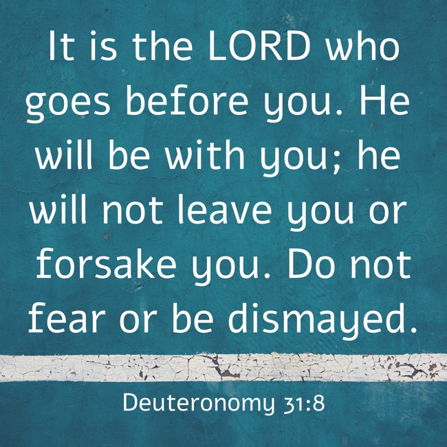 It is the LORD who goes before you. He will be with you; he will not leave you or forsake you. Do not fear or be dismayed. - Deuteronomy 31:8