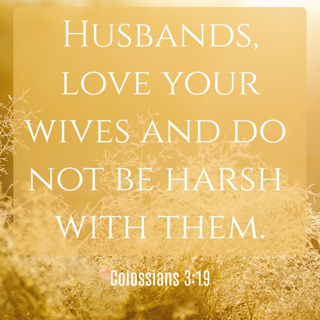 Husbands, love your wives and do not be harsh with them. - Colossians 3:19