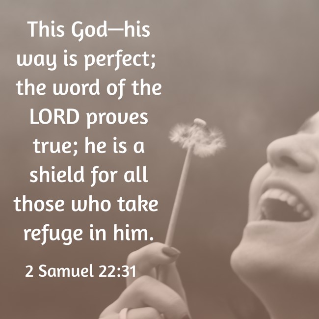 This God—his way is perfect; the word of the LORD proves true; he is a shield for all those who take refuge in him. - 2 Samuel 22:31