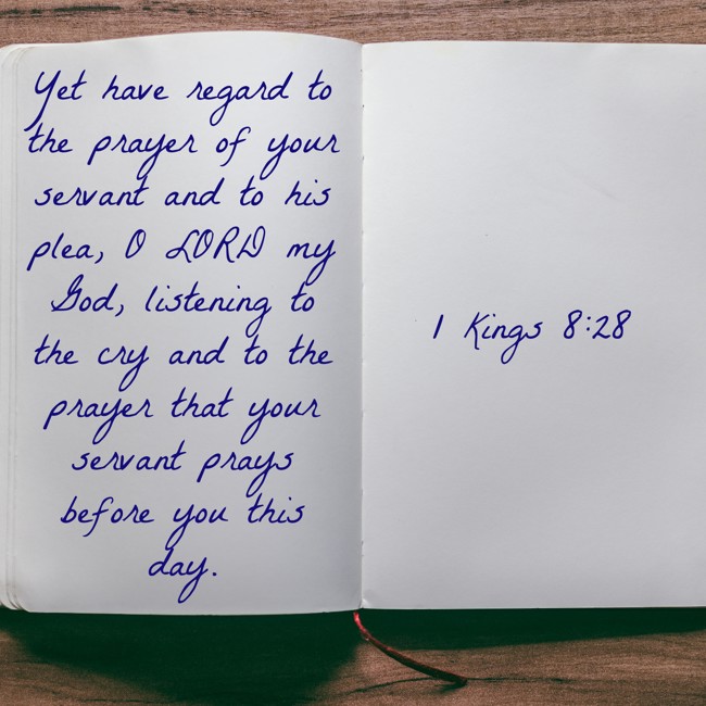 Yet have regard to the prayer of your servant and to his plea, O LORD my God, listening to the cry and to the prayer that your servant prays before you this day. - 1 Kings 8:28