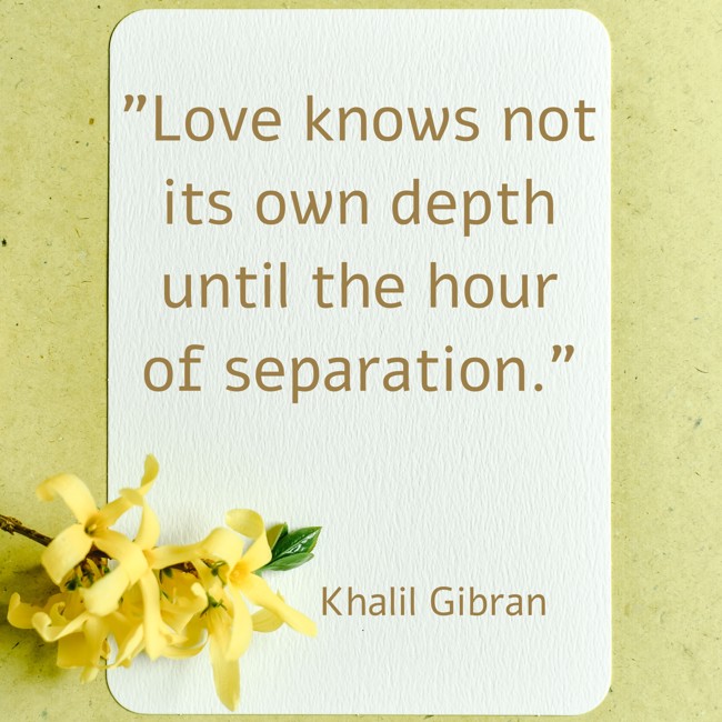 Love knows not its own depth until the hour of separation. - Khalil Gibran
