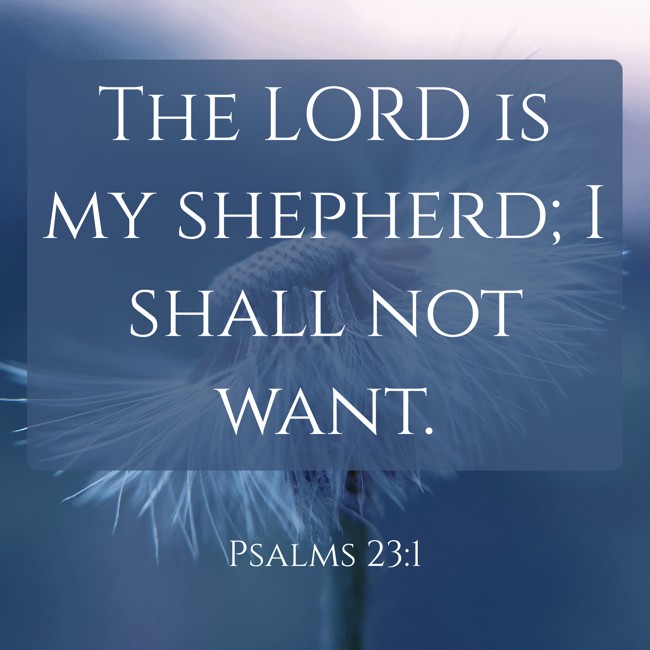 The LORD is my shepherd; I shall not want. - Psalms 23:1