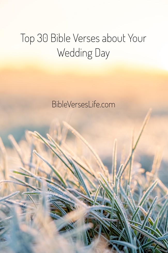 Top 30 Bible Verses about Your Wedding Day