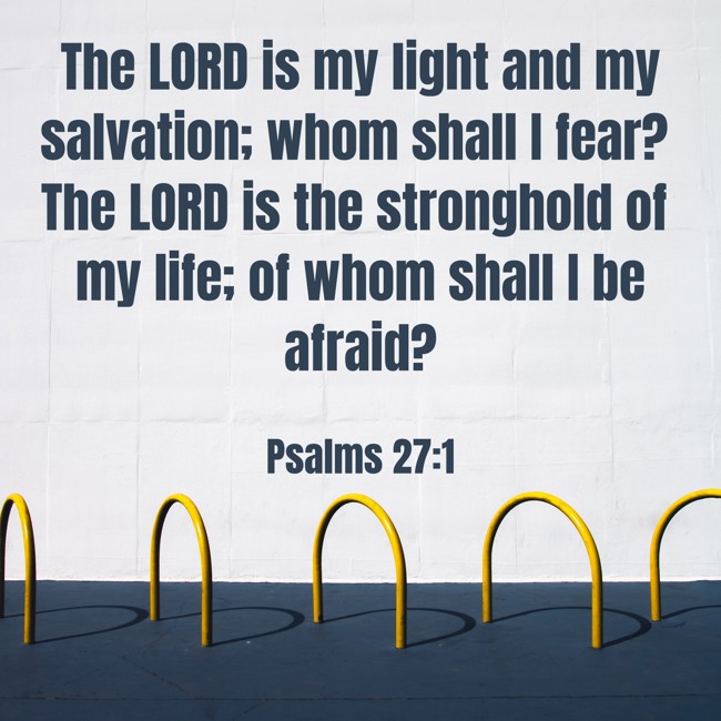 The LORD is my light and my salvation; whom shall I fear? The LORD is the stronghold of my life; of whom shall I be afraid? - Psalms 27:1