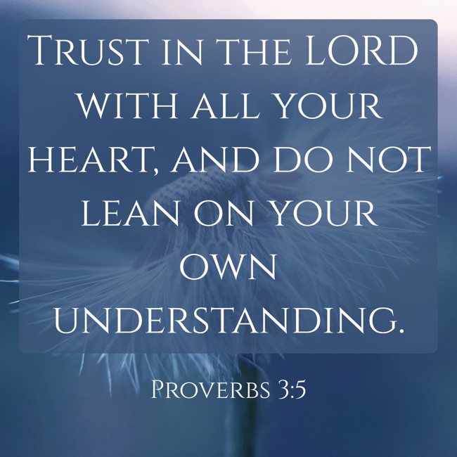 Trust in the LORD with all your heart, and do not lean on your own understanding. - Proverbs 3:5