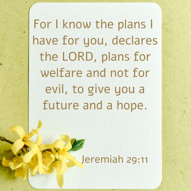 For I know the plans I have for you, declares the LORD, plans for welfare and not for evil, to give you a future and a hope. - Jeremiah 29:11