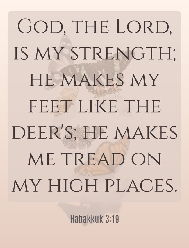 God, the Lord, is my strength; he makes my feet like the deer's; he makes me tread on my high places. - Habakkuk 3:19