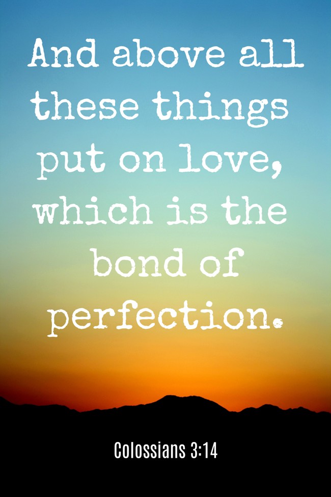 And above all these things put on love, which is the bond of perfection. - Colossians 3:14