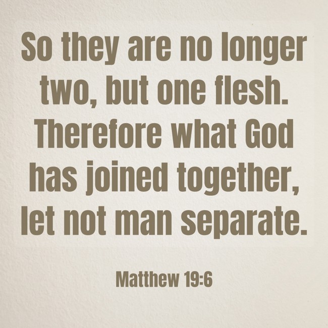So they are no longer two, but one flesh. Therefore what God has joined together, let not man separate. - Matthew 19:6