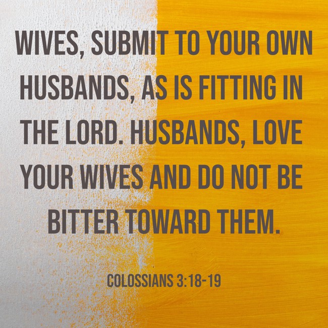 Wives, submit to your own husbands, as is fitting in the Lord. Husbands, love your wives and do not be bitter toward them. - Colossians 3:18-19